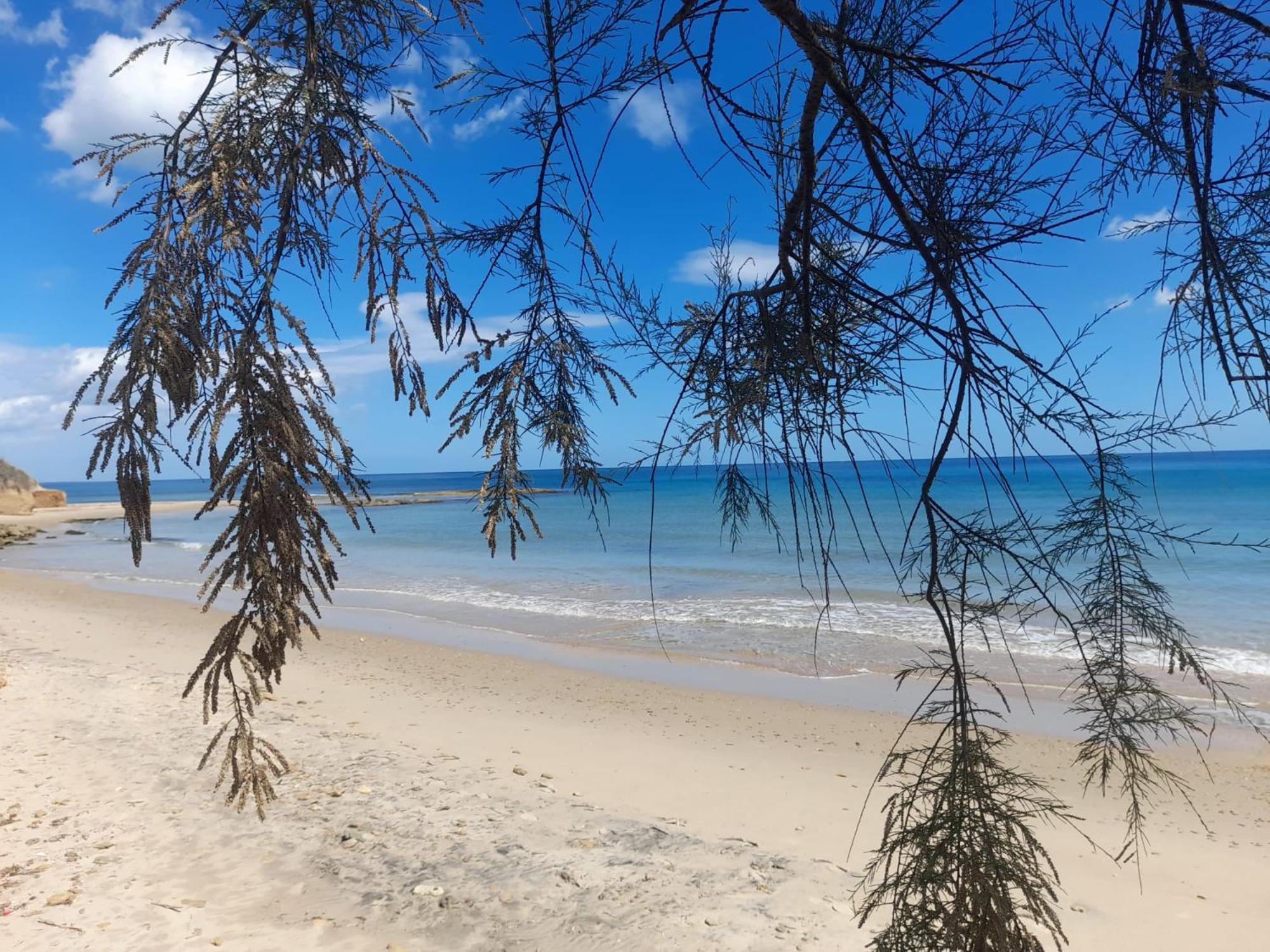 Appartamento Tra Vento e Mare Lendinuso Esterno foto